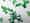 Plants from plants LEGO bricks