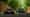 Image of the LEGO Technic Koenigsegg 1:8 car and 1:1 car on the Goodwood Track
