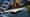 75457 image