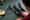 76335 image