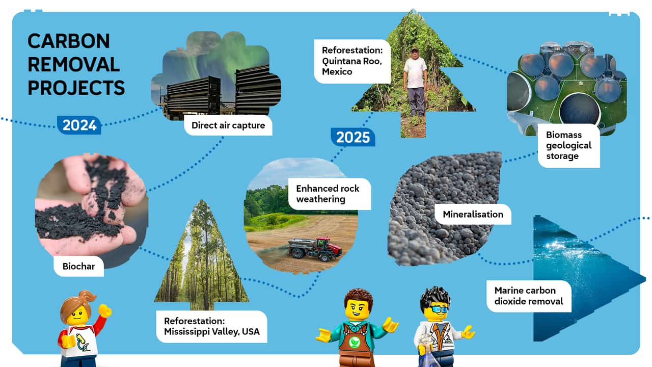 The LEGO Group expands its portfolio of carbon removal solutions ...