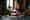 11387 image