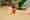11390 Media Asset