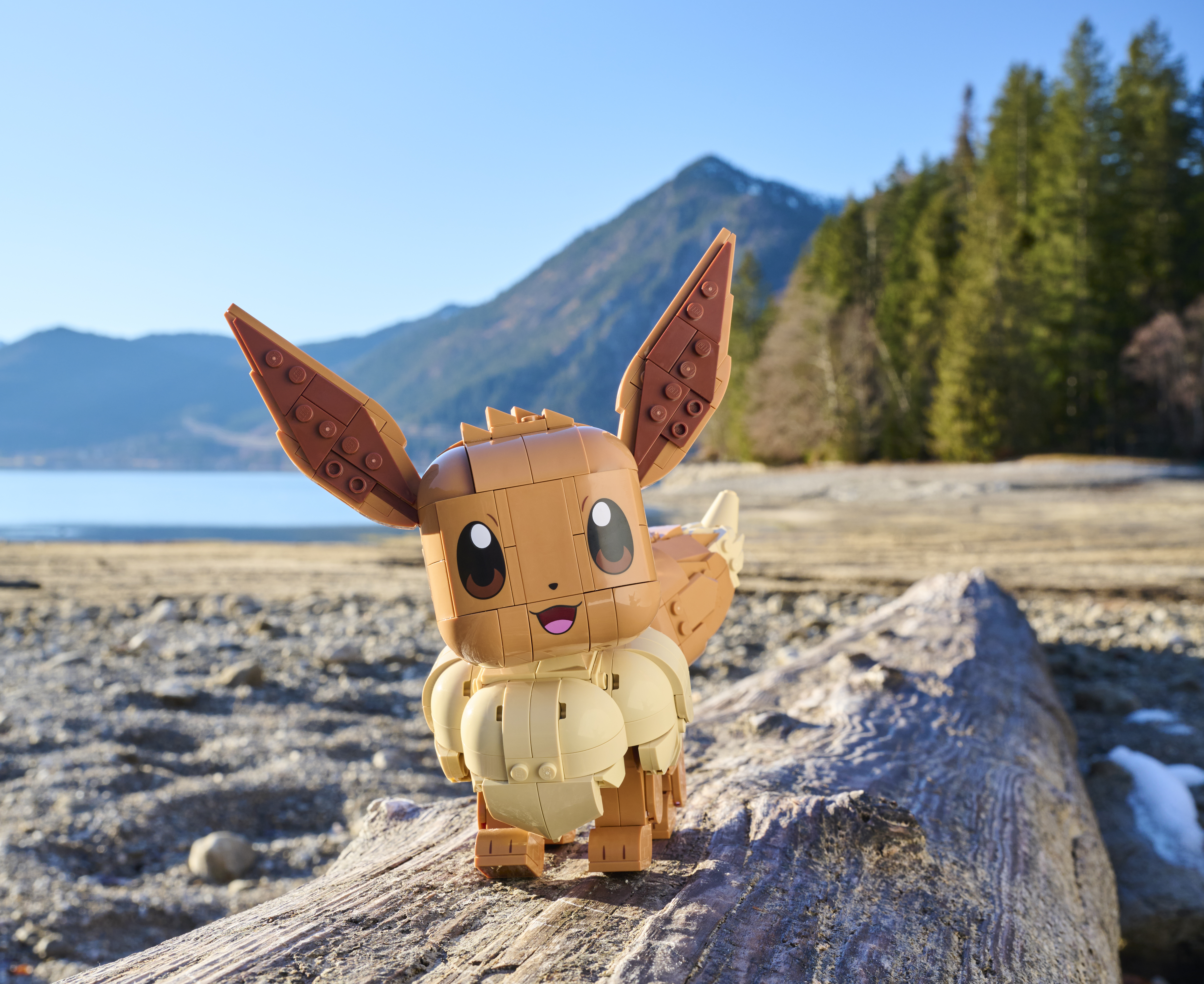 LEGO® Pokémon™ Adults Product Announcement - About Us - LEGO.com
