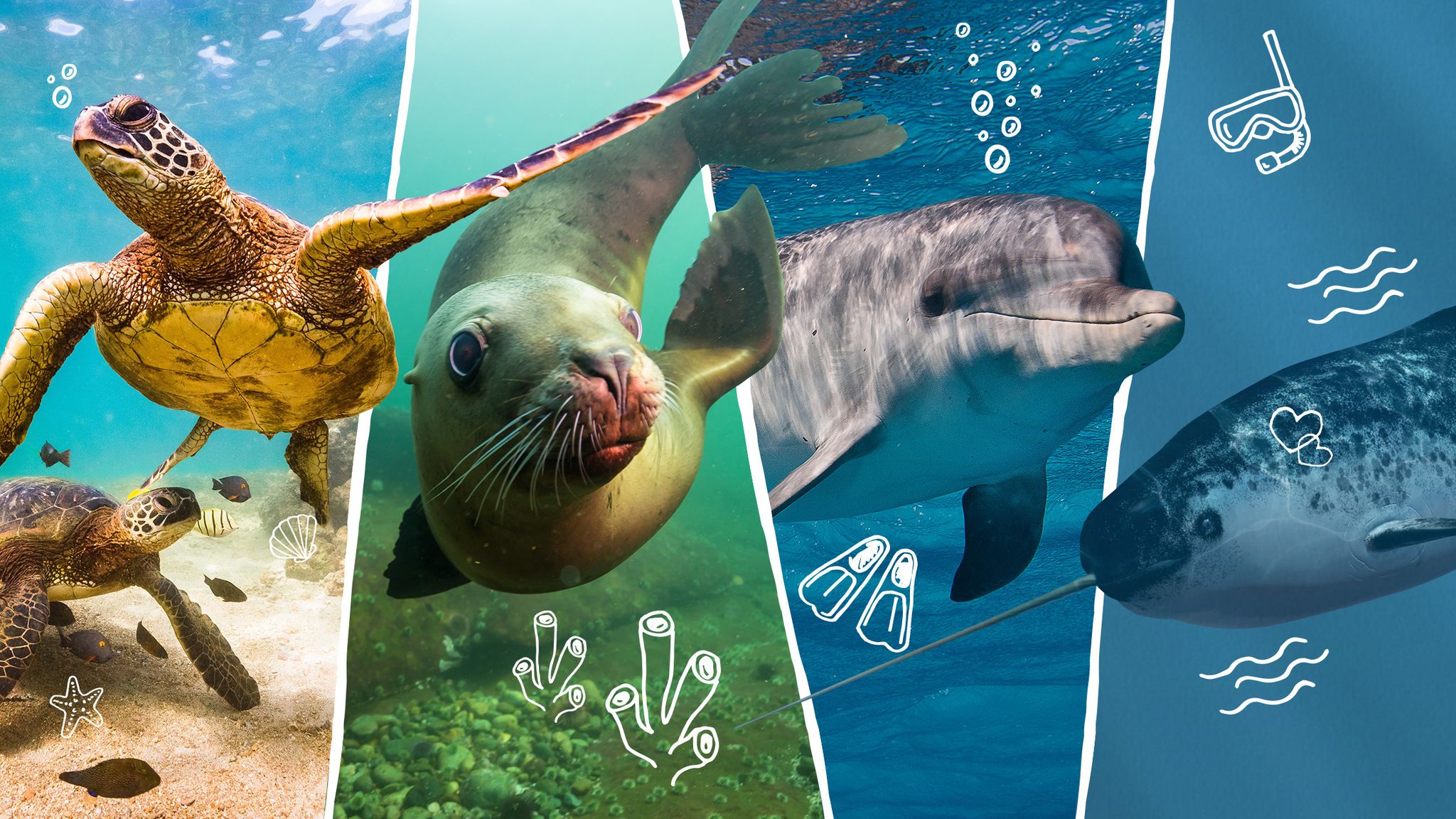 What Is An endangered Animal LEGO For Kids what-is-an-endangered-animal-lego-for-kids