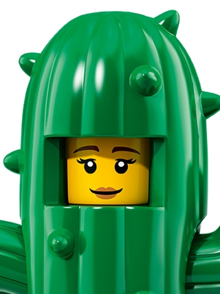 Cactus Girl - LEGO® Minifigures Characters -  for kids