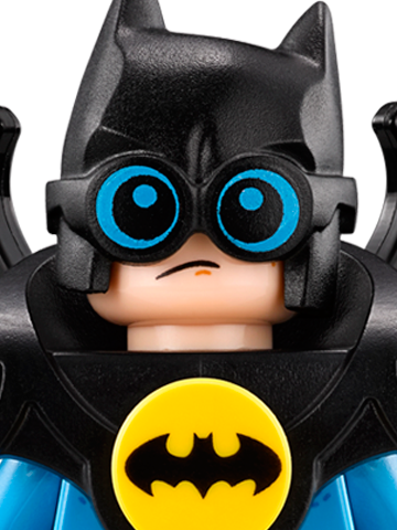 Nightwing - LEGO® Batman™ Characters  for kids
