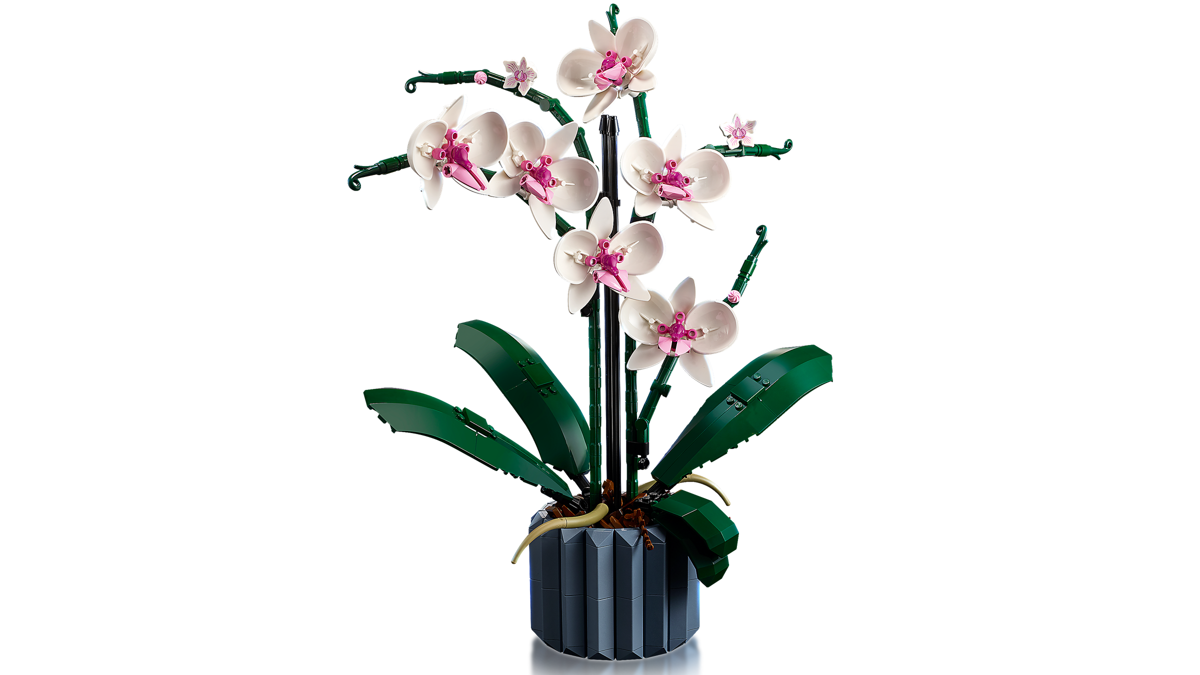 LEGO L’orchidée 10311, vue officielle du set