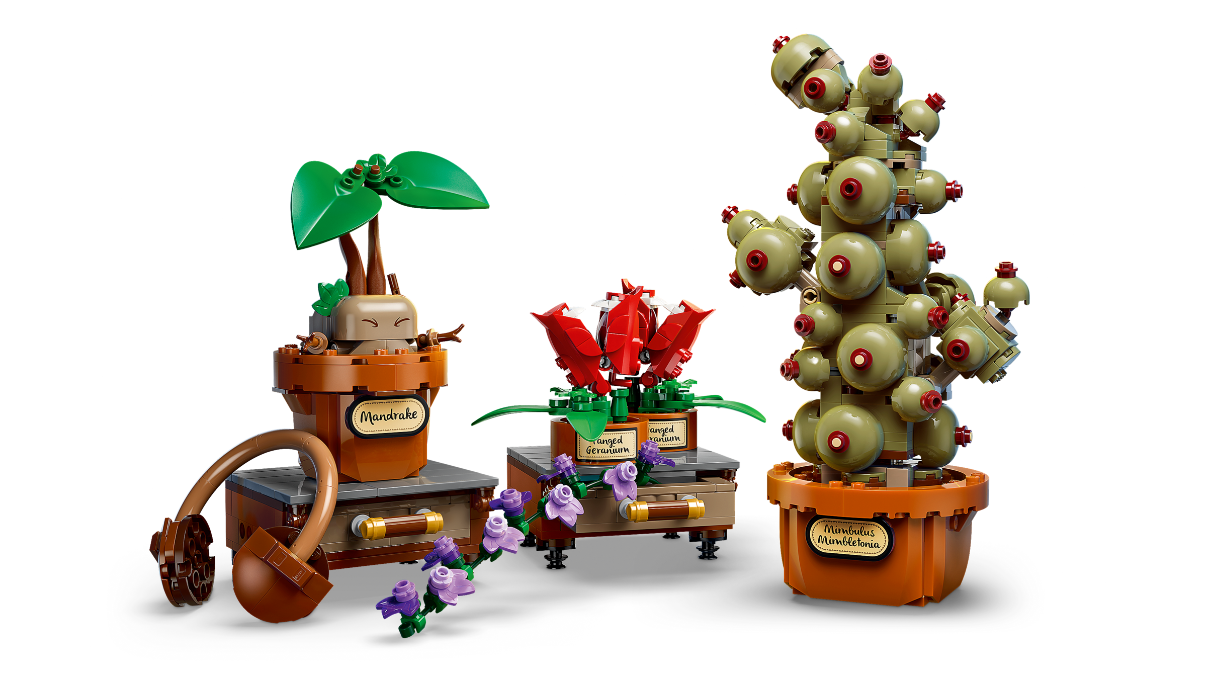 LEGO Les plantes du cours de botanique de Poudlard 76474, vue officielle du set