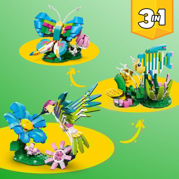 Wild Animals: Colorful Hummingbird - Image 5