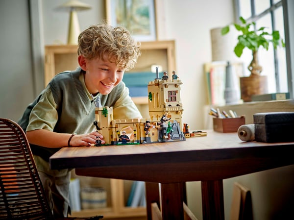 LEGO 76447 Le château de Poudlard : les cours de vol — visuel 8 sur 8