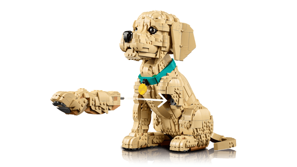 LEGO 11384 Le chiot Golden Retriever — visuel 6 sur 8
