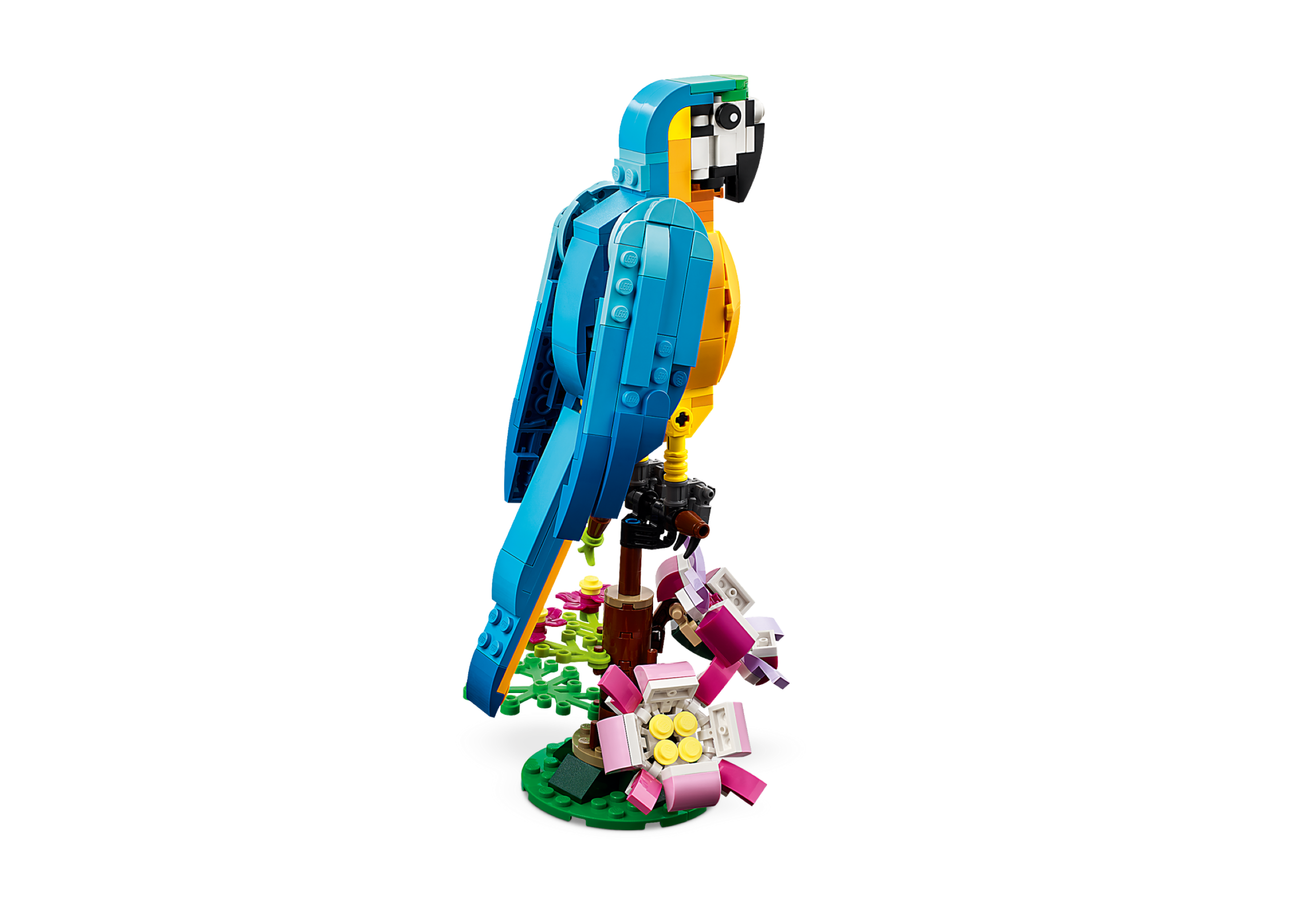 LEGO Creator 3 en 1 31136 Le perroquet exotique, Commandez facilement en  ligne