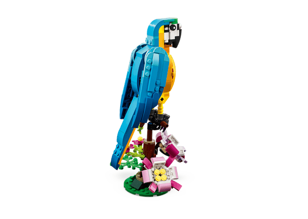 LEGO 31136 Le perroquet exotique — visuel 3 sur 8