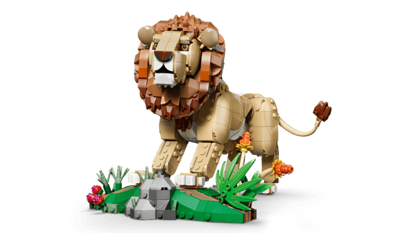 Wild Animals: Majestic Lion - Image 7