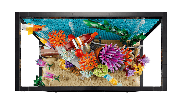 Tropical Aquarium - Image 6