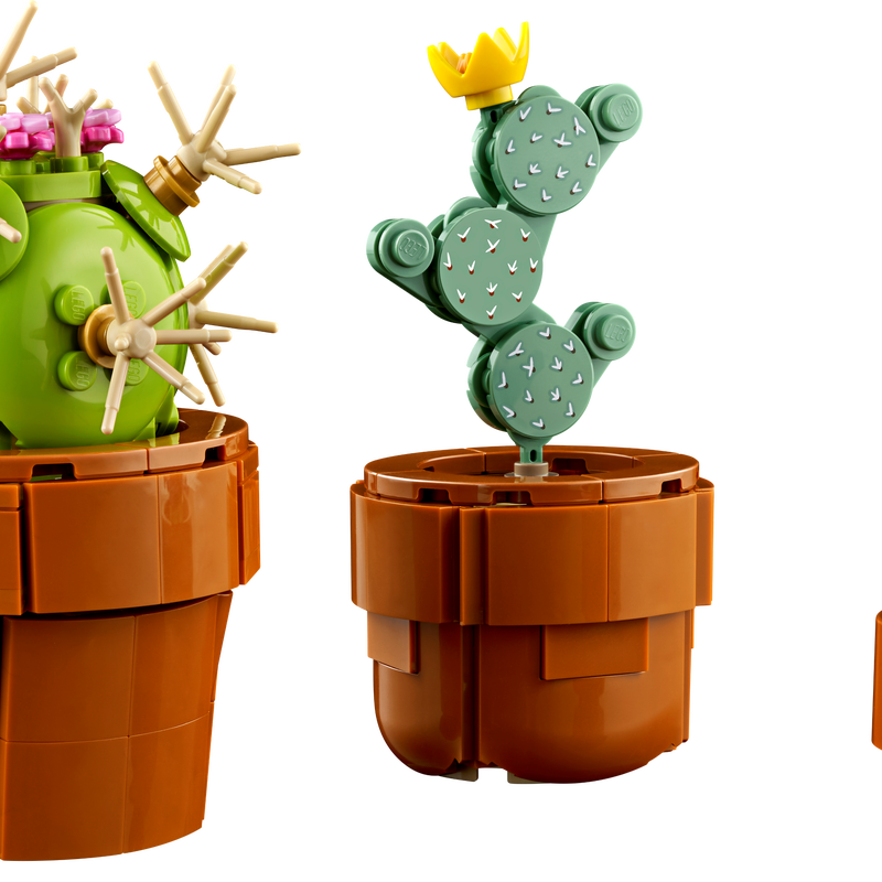 Tiny Plants