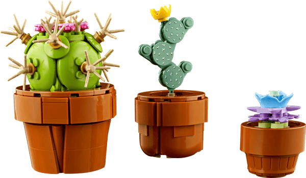 LEGO 10329 Les plantes miniatures — visuel 4 sur 8