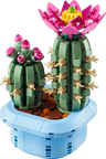 Flowering Cactus