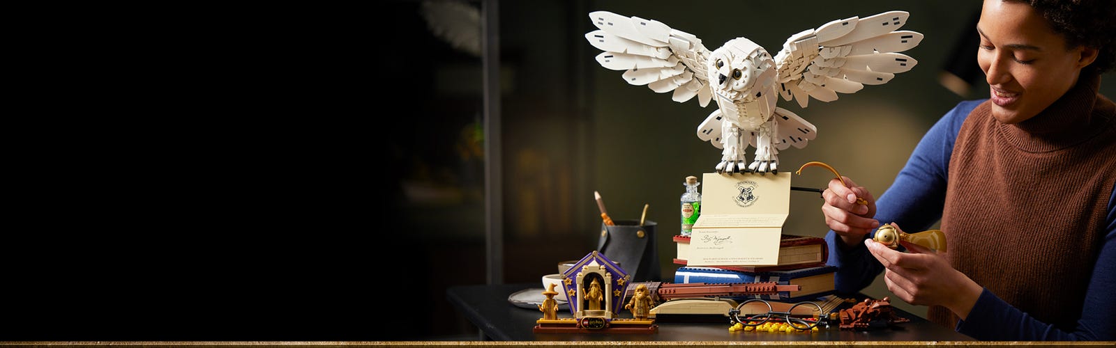 LEGO Harry Potter Les icônes de Poudlard : édition de collection 76391 (3  010 pièces)