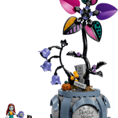 Le pot de fleurs de Sally