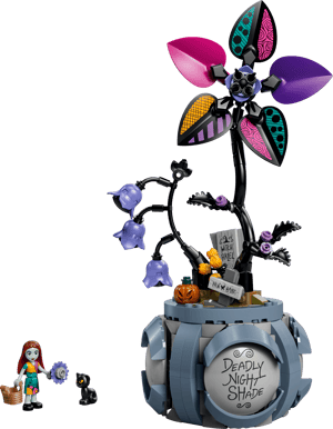 Le pot de fleurs de Sally