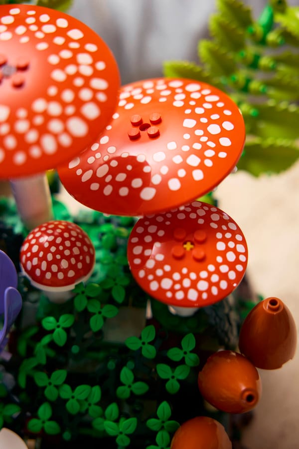 Woodland Mushrooms - Image 13