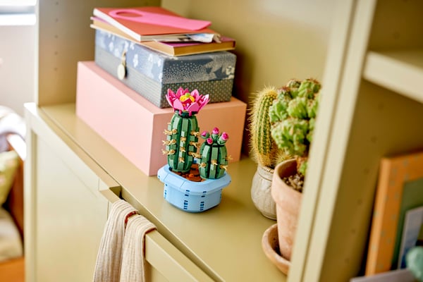 LEGO 11509 Cactus fleuri — visuel 3 sur 8
