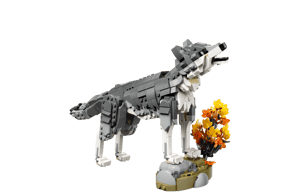 Les animaux de la forêt : le loup gris