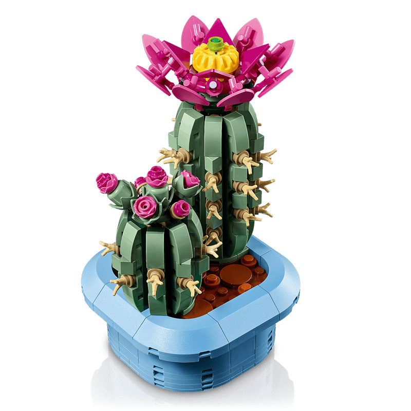 Flowering Cactus 11509 | Botanicals | Buy online at the Official Flowering Cactus 11509 | Botanicals | Buy online at the Official