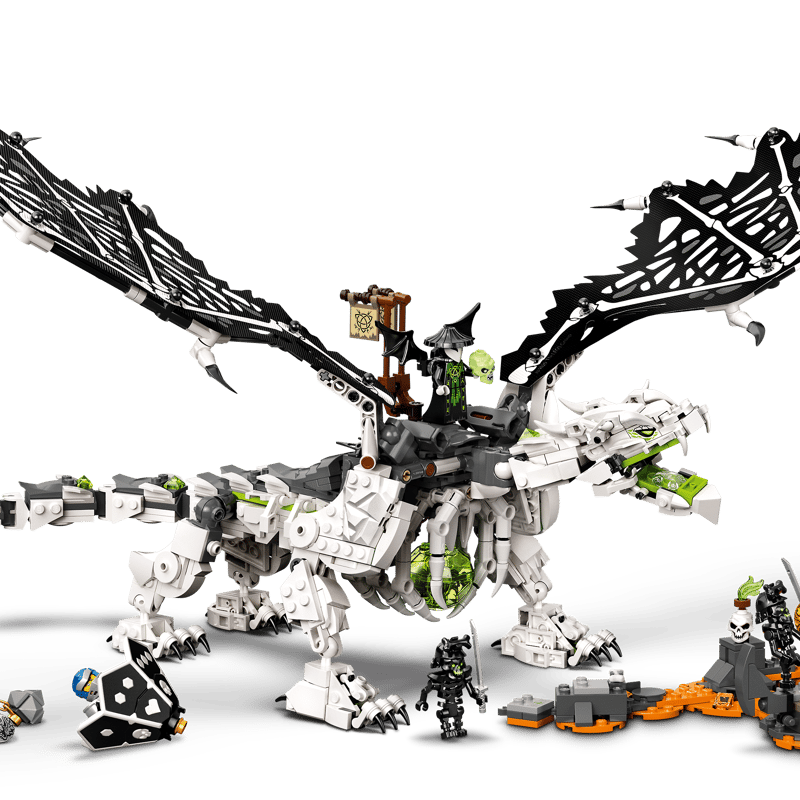 Skull Sorcerer's Dragon - Main Image