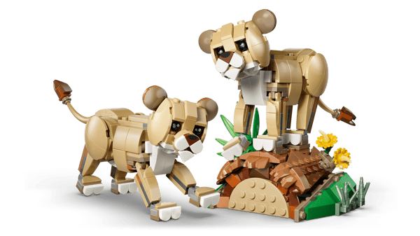 Wild Animals: Majestic Lion - Image 6