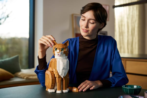 LEGO 21376 Le chat roux — visuel 8 sur 8