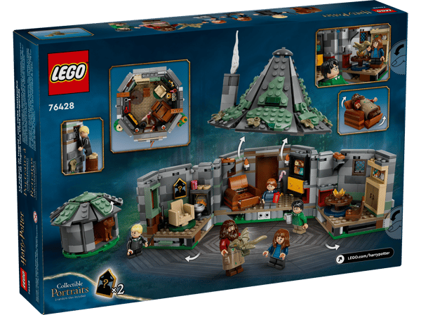 Hagrid's Hut: An Unexpected Visit - Image 11