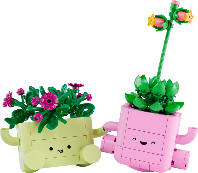 Le set LEGO 11506 Petites plantes dansantes