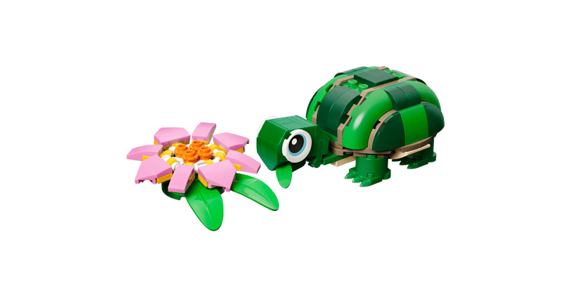 La tortue et la fleur de nénuphar - Image 1