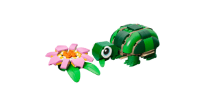 La tortue et la fleur de nénuphar