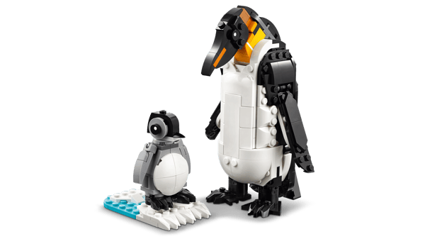 LEGO 31165 Animaux sauvages : la famille de pandas — visuel 4 sur 8