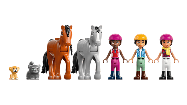 Horse Stable and Riding Academy - Image 12