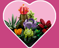 Heart-shaped background with the LEGO Succulents set inside.