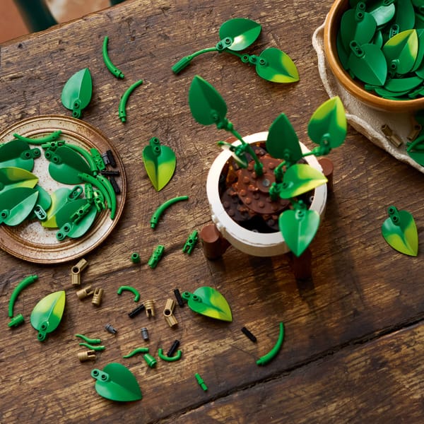 Hanging Golden Pothos - Image 16