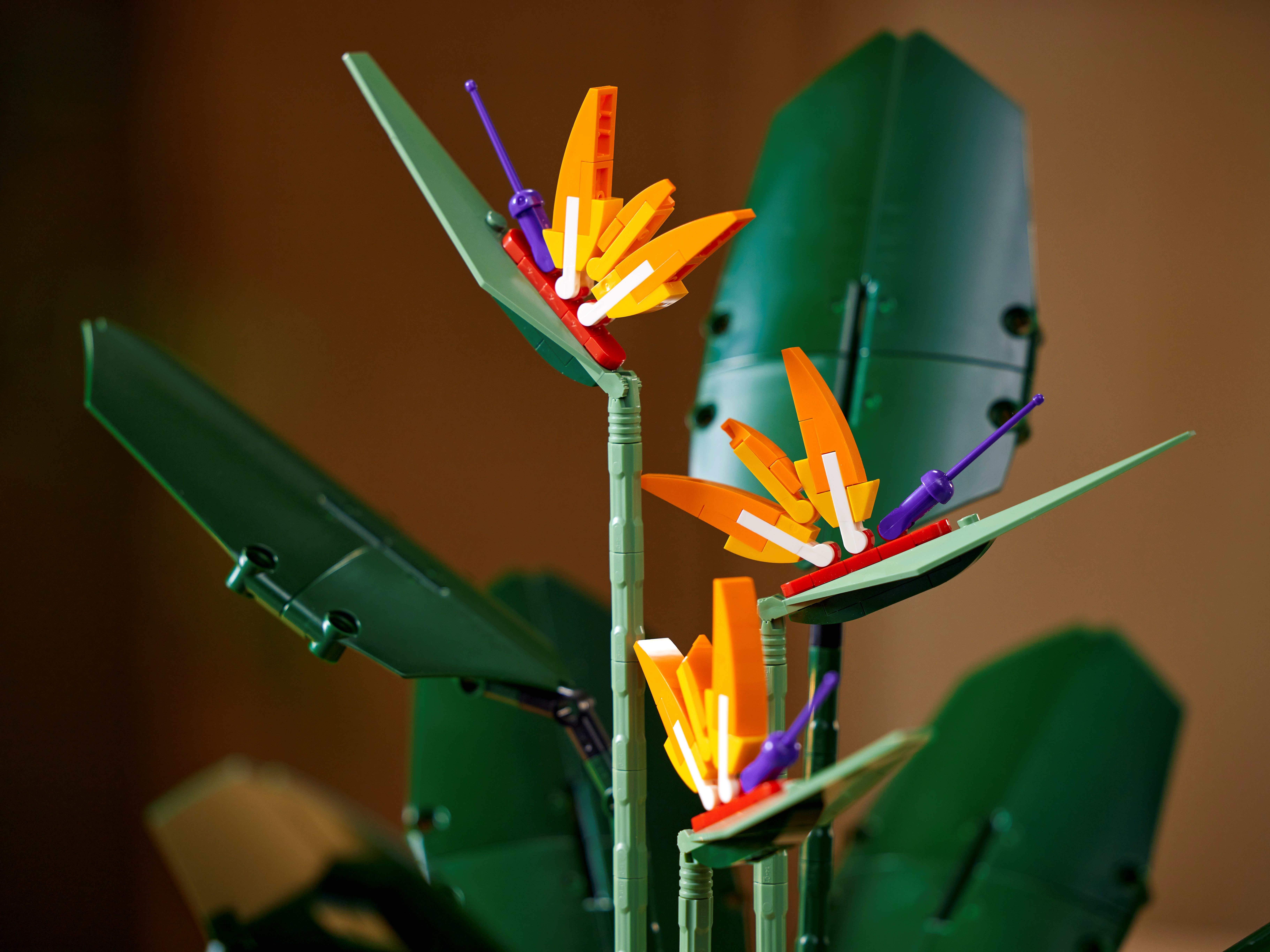 LEGO Botanical Collection Bird of Paradise Set 10289 - SS21 - US