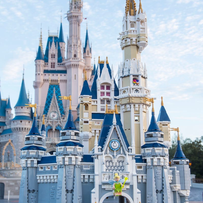 The Disney Castle - Main Image