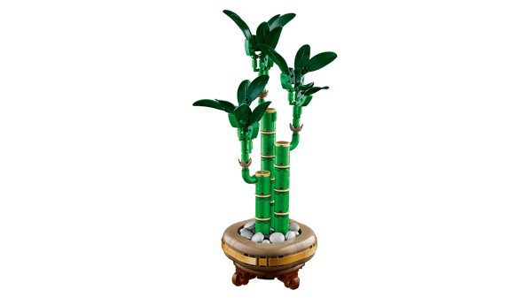 LEGO 10344 Le bambou de la chance — visuel 6 sur 8