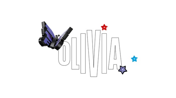 Olivia Rodrigo's Secret Storage - Image 8
