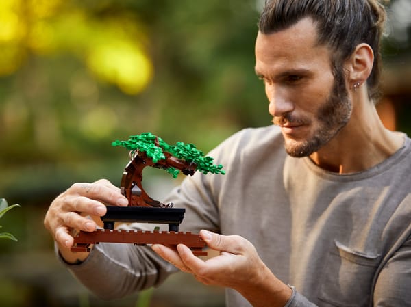 Bonsai Tree - Image 14