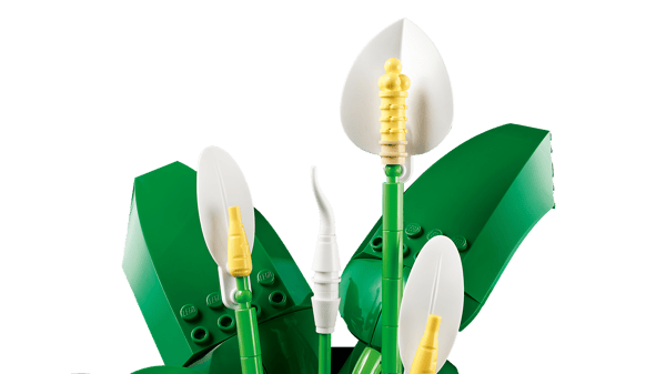 LEGO 11504 Les fleurs de lune — visuel 5 sur 8