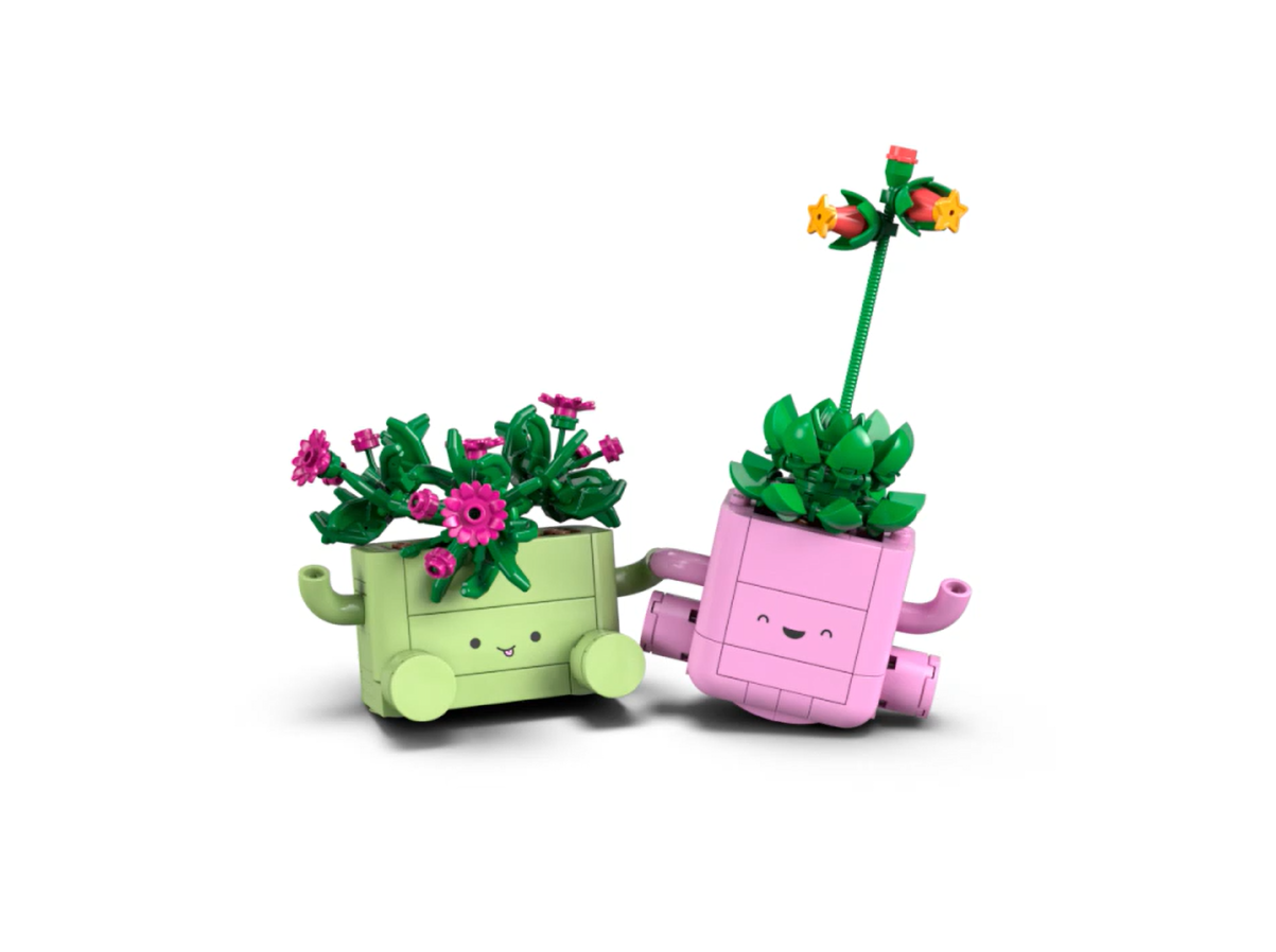Rocking Plants - Image 4