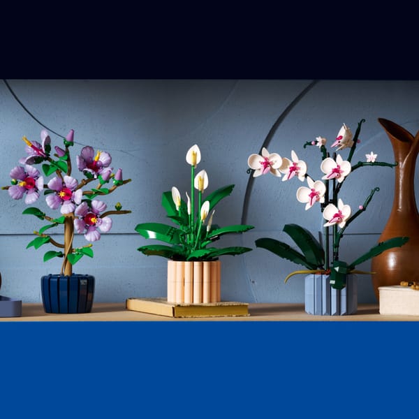 LEGO Botanicals: La Guida Completa 2026 a Orchidea, Bonsai e Bouquet