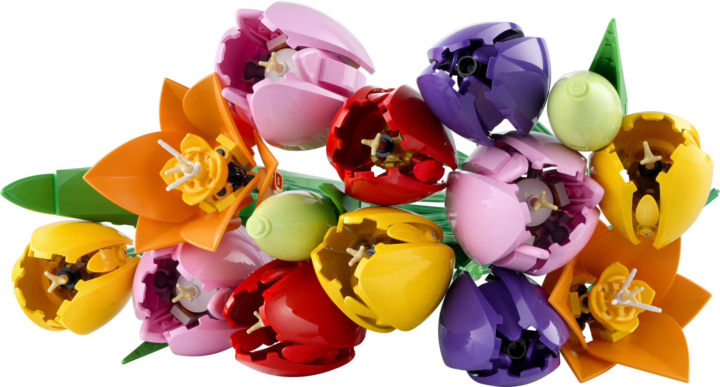 Tulip Bouquet